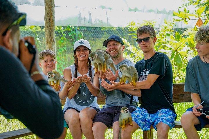 3x1: Monkey Land Waterfalls & Buggies In Puerto Plata