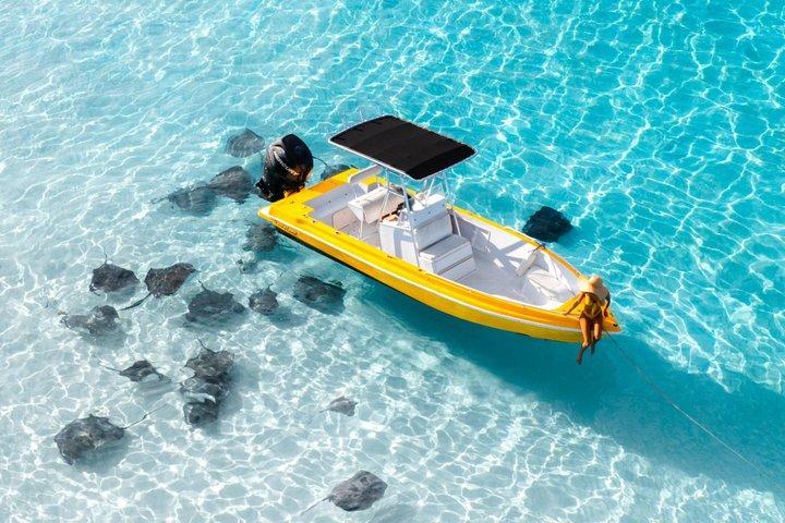 Private: Bioluminescence Tour
