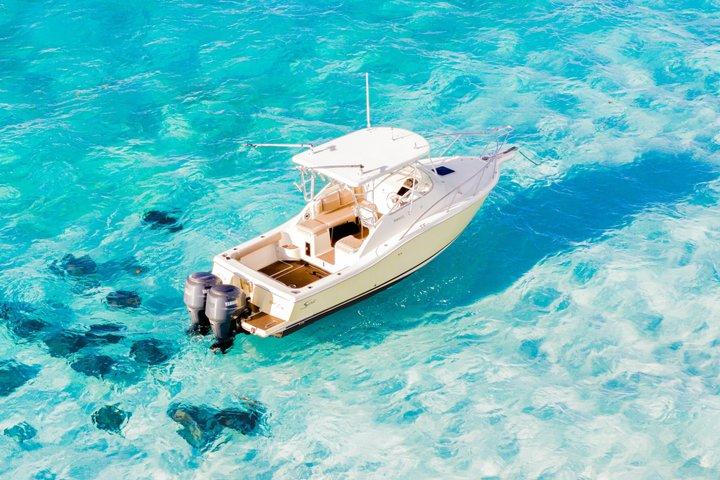 Private: Bioluminescence Tour