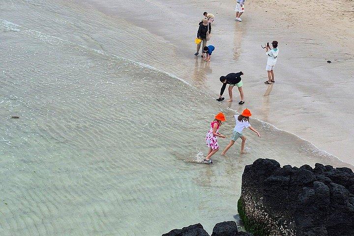 済州ユネスコ南・東ハイライト2日間コンボツアー