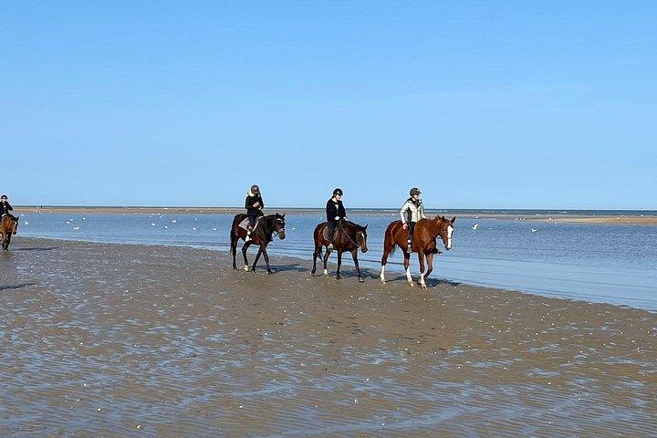 パリ発プライベートノルマンディー海岸日帰り旅行