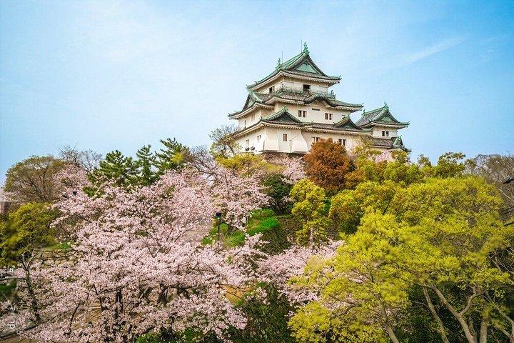 高野山那智の滝と和歌山観光
