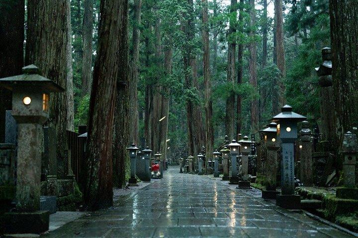 高野山那智の滝と和歌山観光