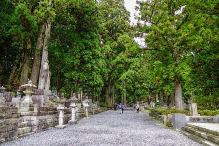 高野山那智の滝と和歌山観光