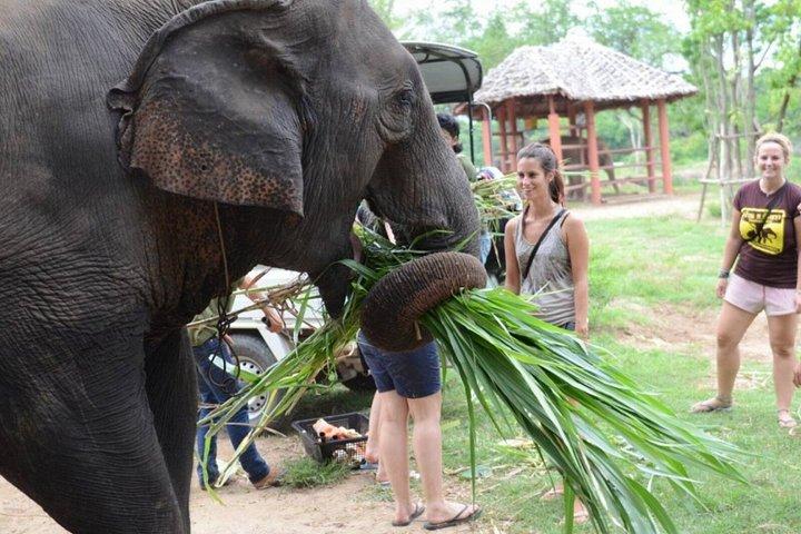 バンコク象の飼育体験とクワイ川日帰り旅行から