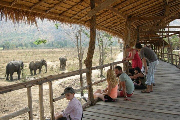 バンコク象の飼育体験とクワイ川日帰り旅行から