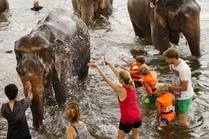 バンコク象の飼育体験とクワイ川日帰り旅行から