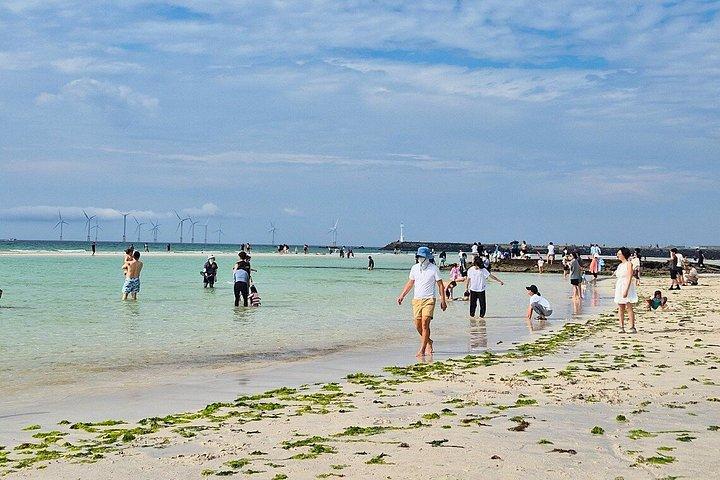 済州ユネスコ西南部・東部ハイライト2日間コンボツアー
