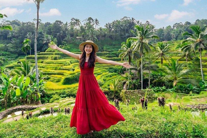 Ubud Monkey Forest Rice Terrace Waterfall Day Tour Bali