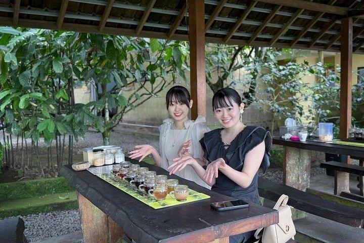 ウブドモンキーフォレスト棚田の滝日帰りツアー