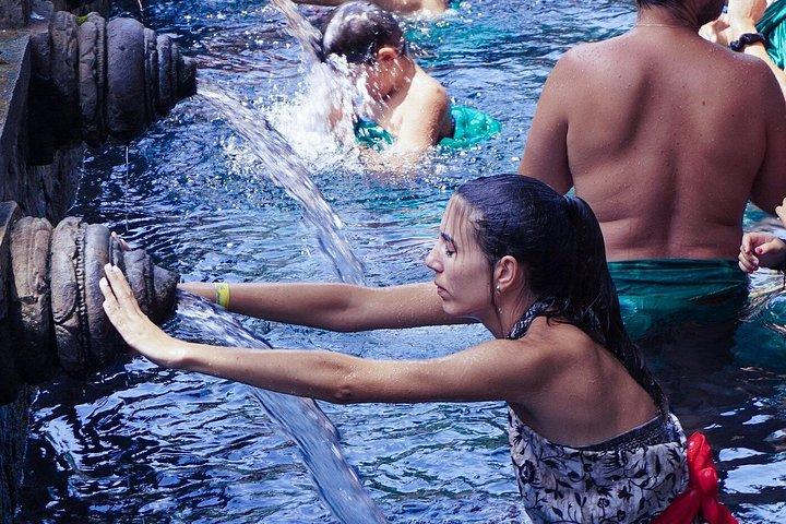 ウブドモンキーフォレスト棚田の滝日帰りツアー