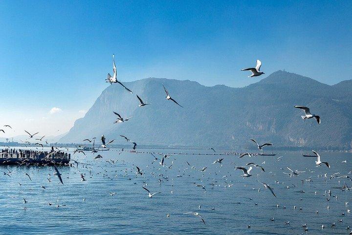 Private Tagestour in Kunming mit Ortskundiger Reiseleiter und Fahrer