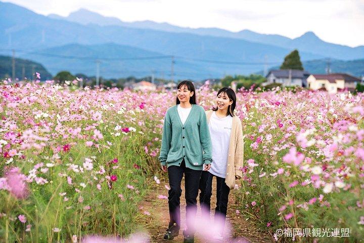 ヨカバス福岡コスモス、芦屋砂展&南蔵院