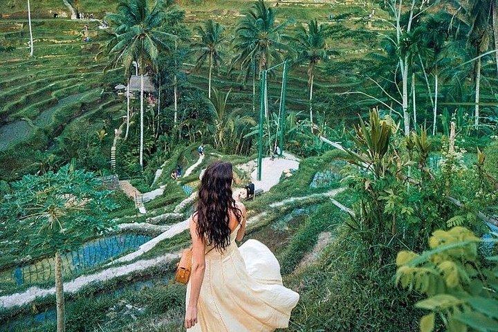 ペングリプラン村関東ランポ滝日帰りツアーバリ島