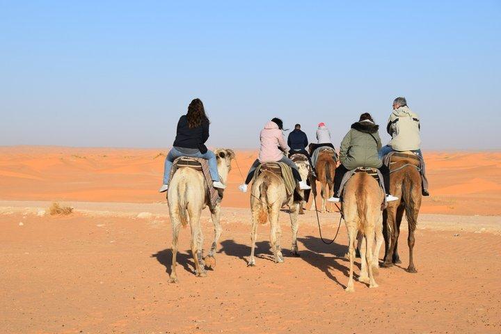 Douz Camel Trek to Sahara Camp Overnight