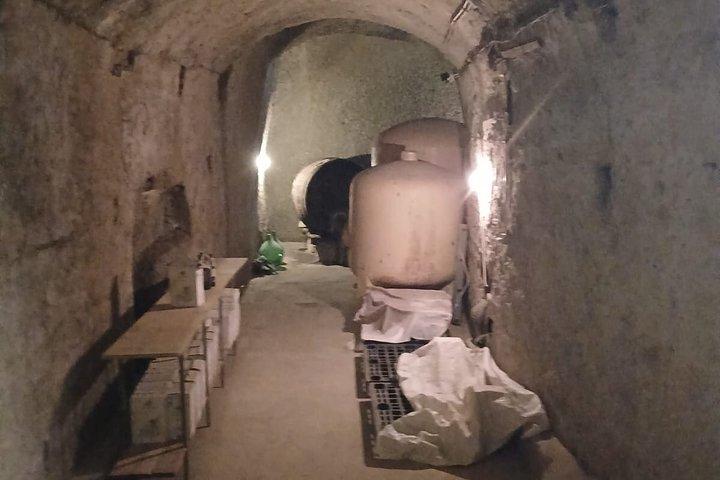 Ischia Tour and Wine
