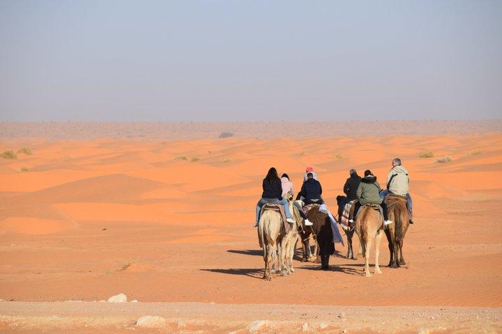 Douz Camel Trek to Sahara Camp Overnight