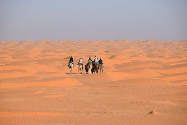 Douz Camel Trek to Sahara Camp Overnight