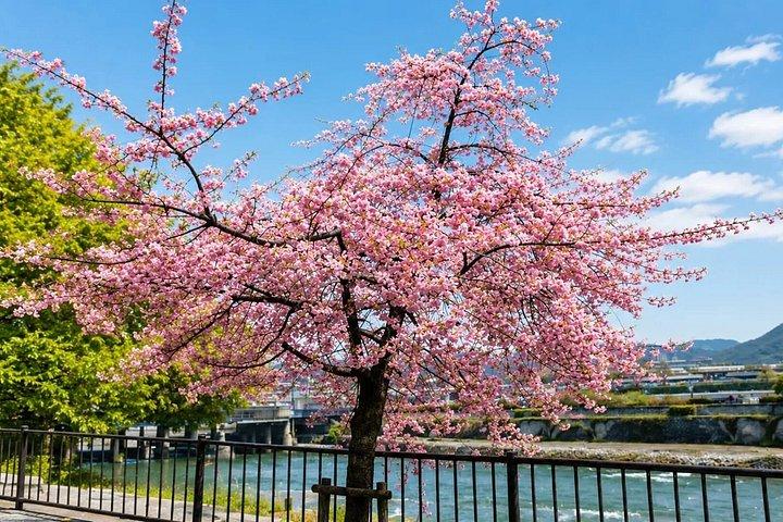 京都セルフガイドウォーキングツアー祇園路地音声とクイズ付き