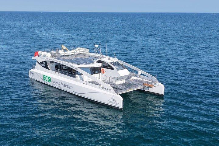 ECO Ferry Mini Cruise to Isla de Lobos