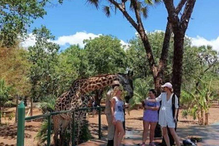 Diani Beach Village Tour and Wildlife Park Day Trip