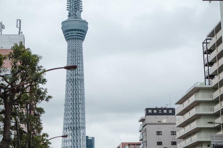 Japón Go-Kart Tokyo Skytree/Akihabara (Requiere desplazamiento interno)