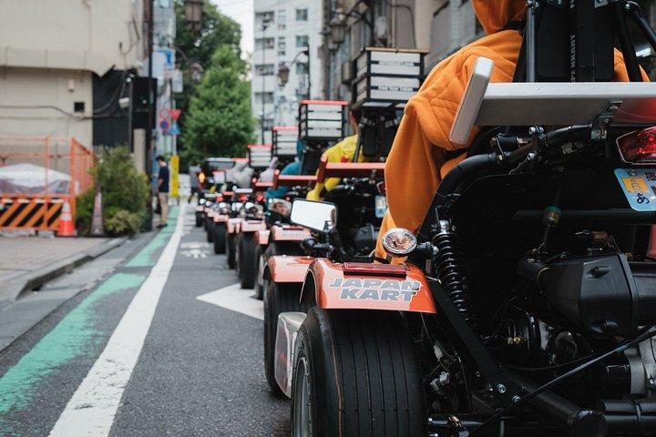 渋谷、新宿を通る東京ゴーカート（要国内避難民）
