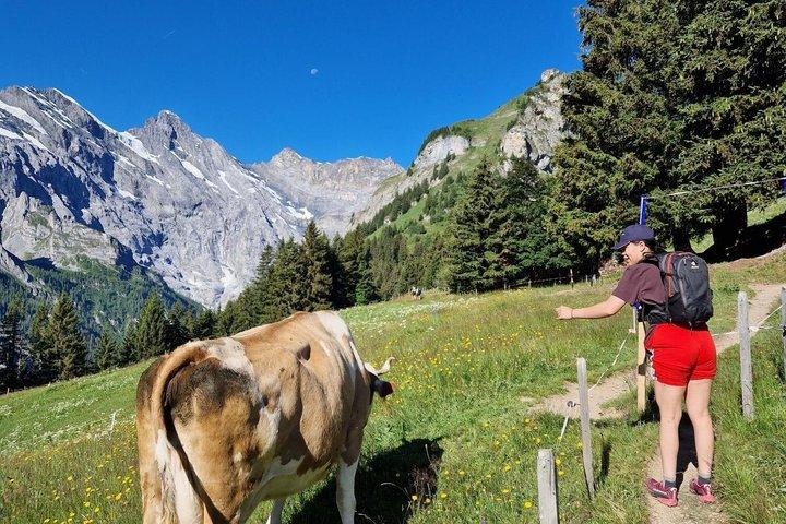 Multi-Day Switzerland Hiking Tour