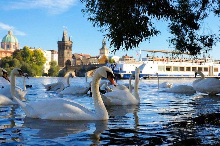 Praag Sightseeing Cruise : 50 - Minute River Experience
