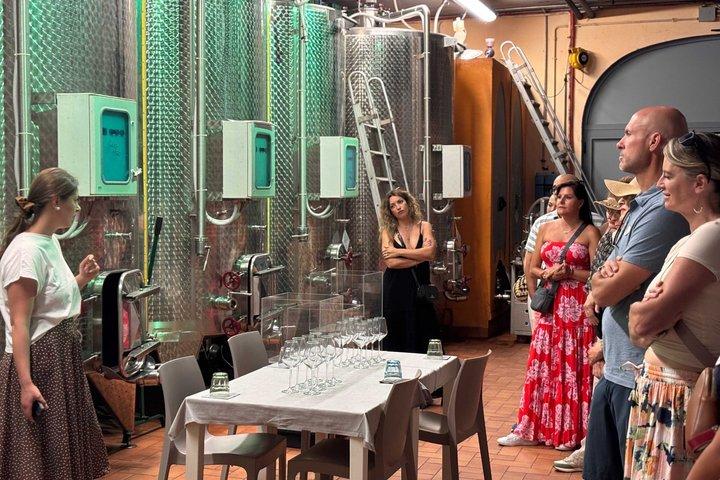Weinprobe in kleiner Gruppe in der Toskana