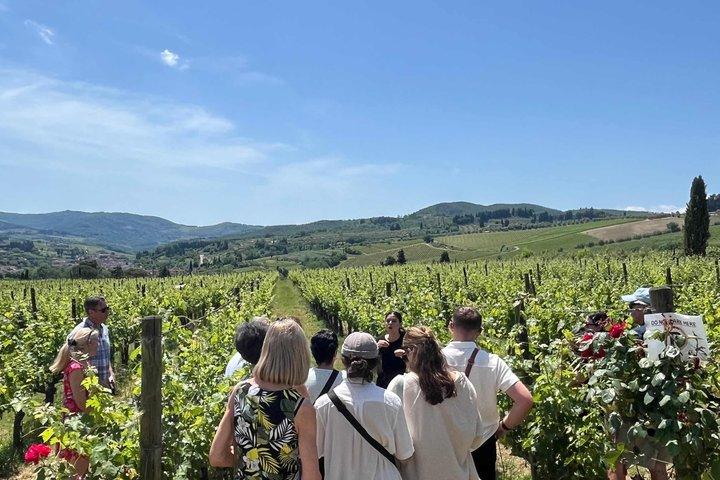 Weinprobe in kleiner Gruppe in der Toskana