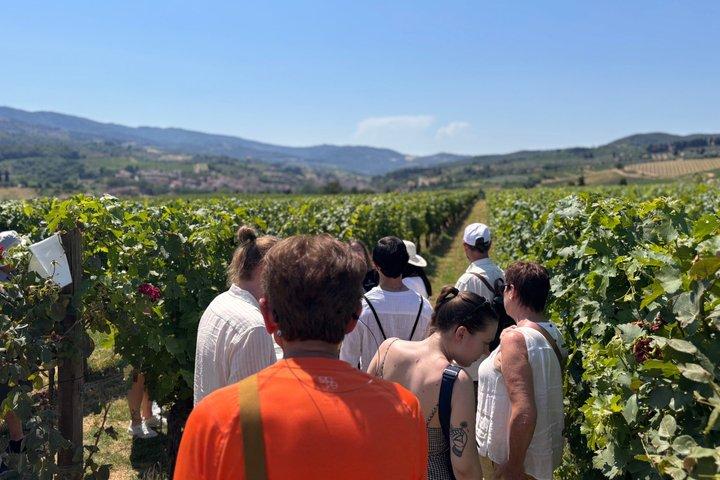 Weinprobe in kleiner Gruppe in der Toskana