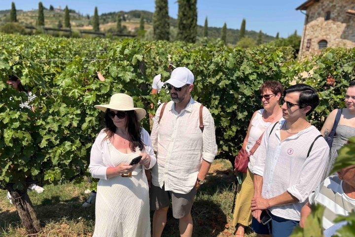 Experiencia de cata de vinos para grupos pequeños en la campiña toscana