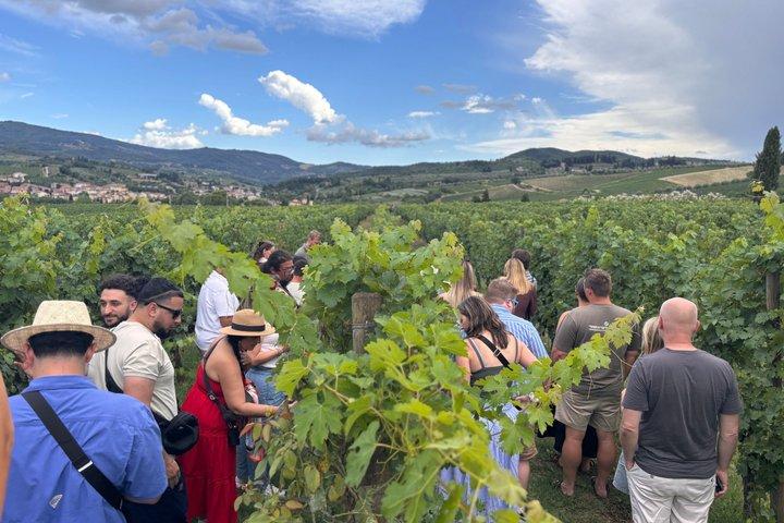 Experiencia de cata de vinos para grupos pequeños en la campiña toscana