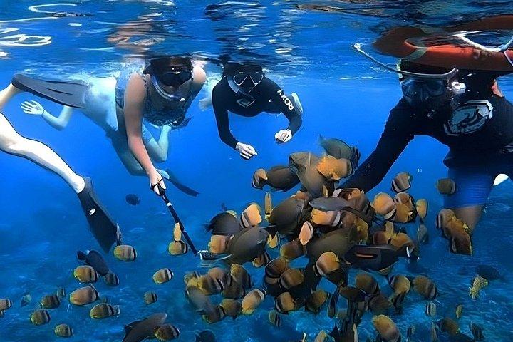 バリ島出発ペニダ島でのシュノーケリング