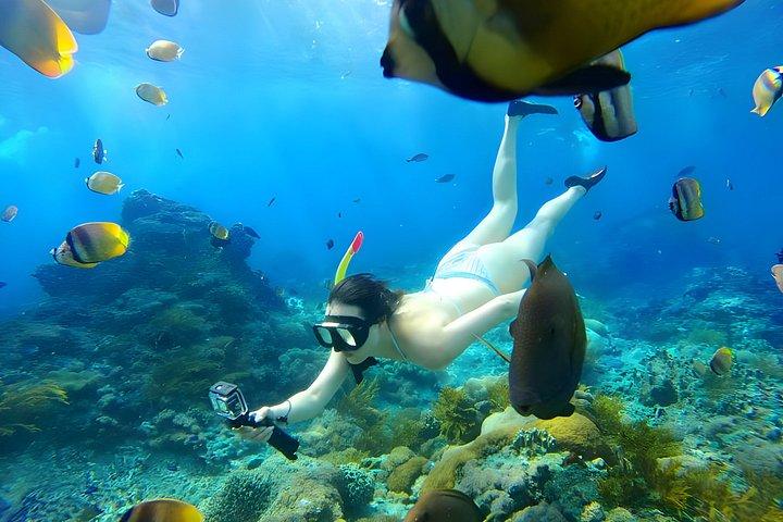 バリ島出発ペニダ島でのシュノーケリング