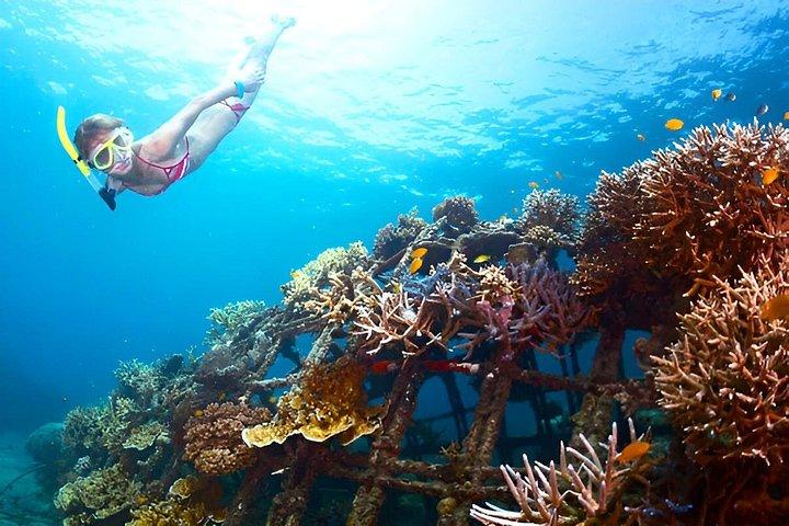 バリ島出発ペニダ島でのシュノーケリング