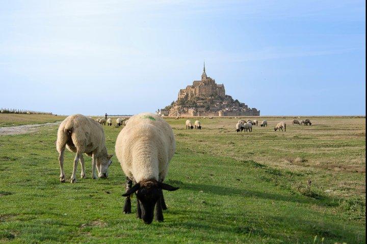 Le Havre Shore Excursion: Excursão privada a Mont-Saint-Michel