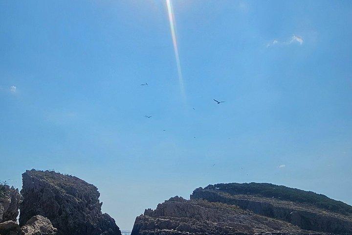 ボート・キャブタットをレンタル地元の人のように隠れた湾を探索