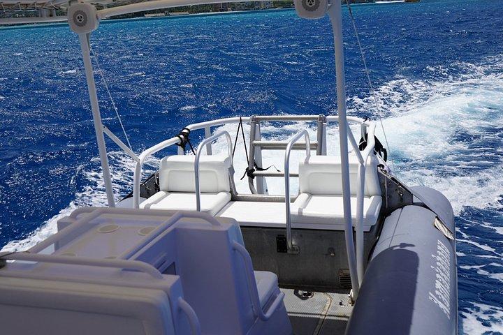 Turtle Canyon Snorkel Semi-Private Adventure Boat