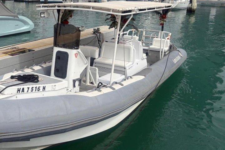 Turtle Canyon Snorkel Semi-Private Adventure Boat