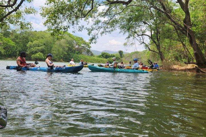 Mangrove River Kayak Tour Samara and Carrillo