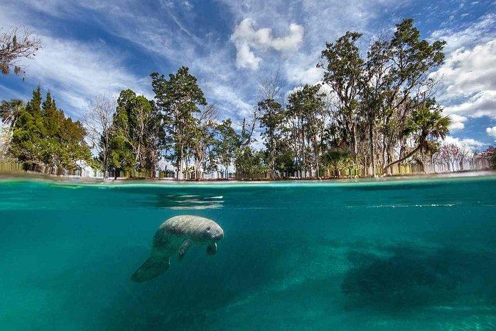 クリスタルリバー-マンティ＆野生動物鑑賞クルーズを見る