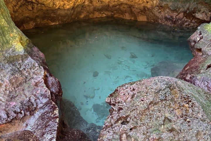 Encuentro con tortugas, cueva escondida y recorrido por la playa