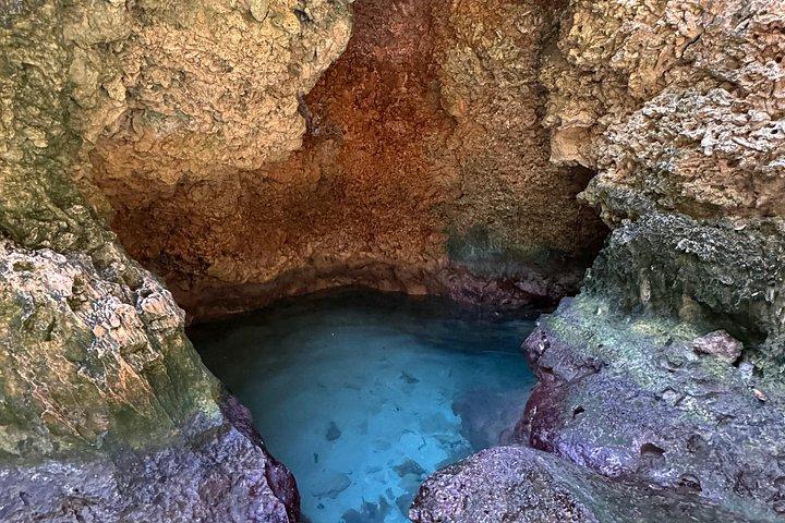 Turtle encounter, Hidden cave and Beach Tour
