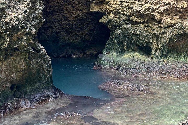 Turtle encounter, Hidden cave and Beach Tour