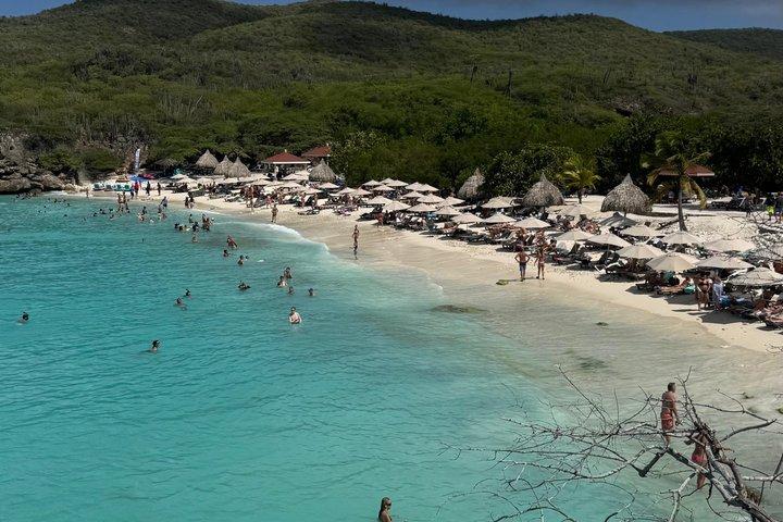 Encuentro con tortugas, cueva escondida y recorrido por la playa