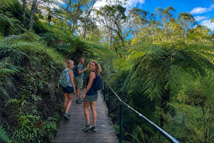 Blue Mountains 3 Scenic Walks & Ultimate Guided Tour from Sydney