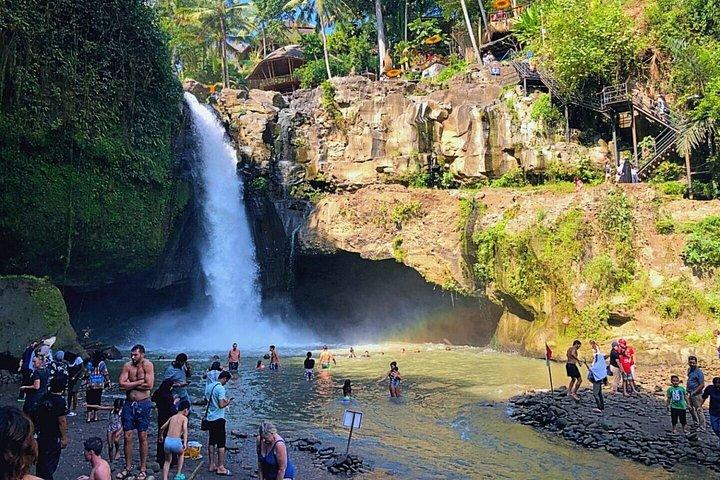 Tour privato di Ubud: danza di Barong, tempio, cascate e terrazza di riso