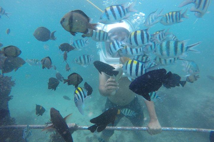 Aventura en la playa de Nusa Dua y moto acuática en Bali